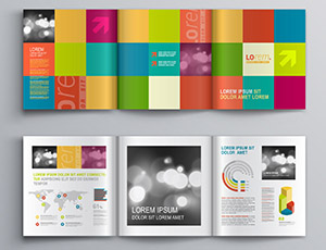 Magazines, Leaflets & Books